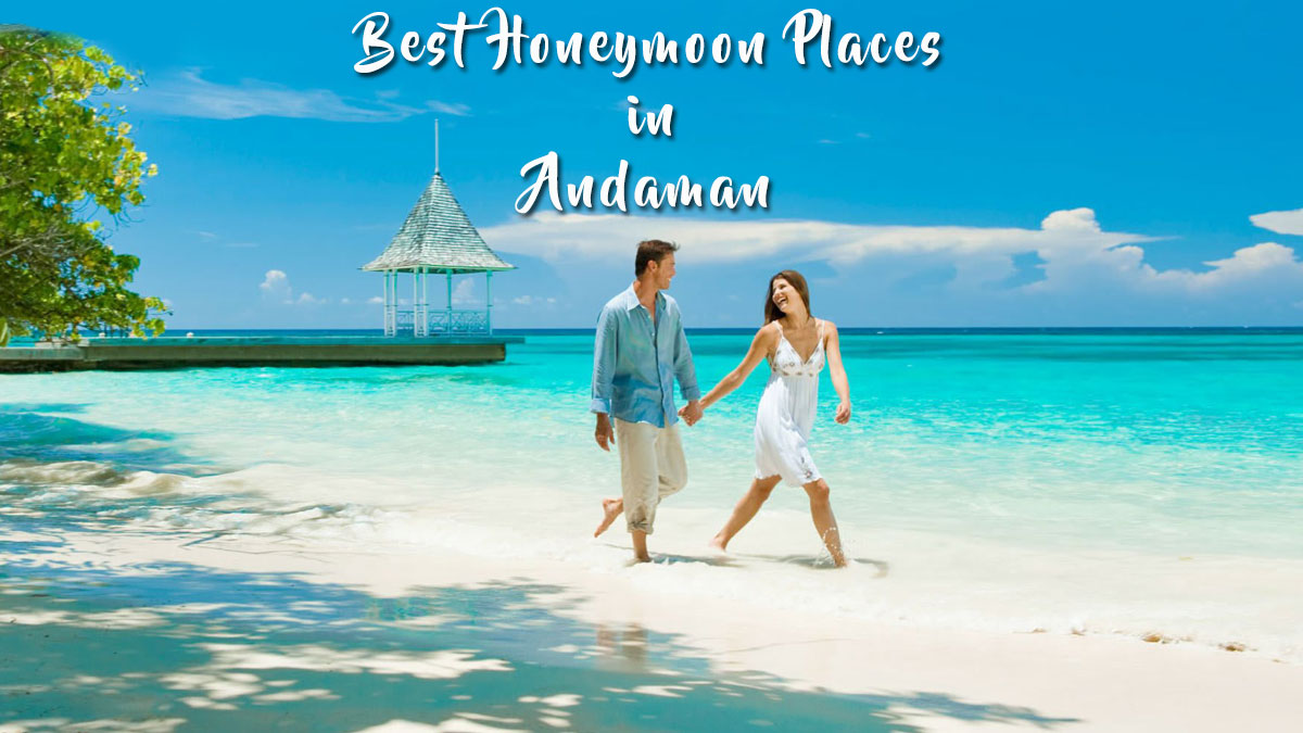 Travel Agent in Andaman
