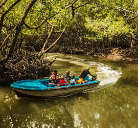 Travel Agent in Andaman